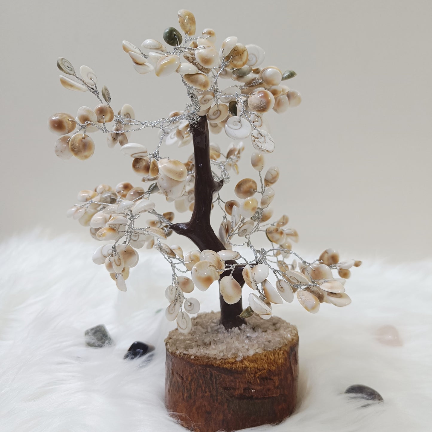 Gomti Chakra Tree β  Abundance, Harmony and Protection