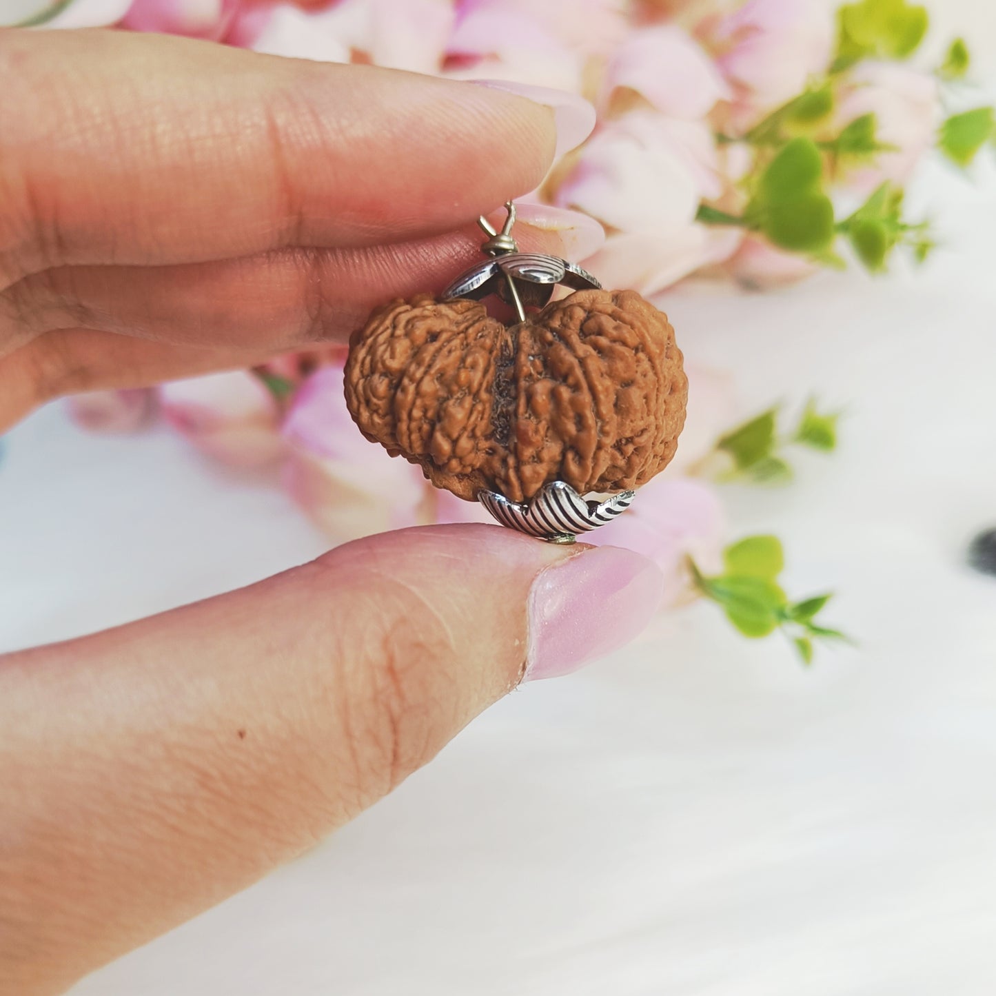 Authentic Nepali Rudraksha Collection – 5 Mukhi Rudraksh, 6 Mukhi Rudraksh, 7 Mukhi Rudraksh, 8 Mukhi Rudraksh, Gauri Shankar Rudraksh and Garbh Gauri Rudraksh