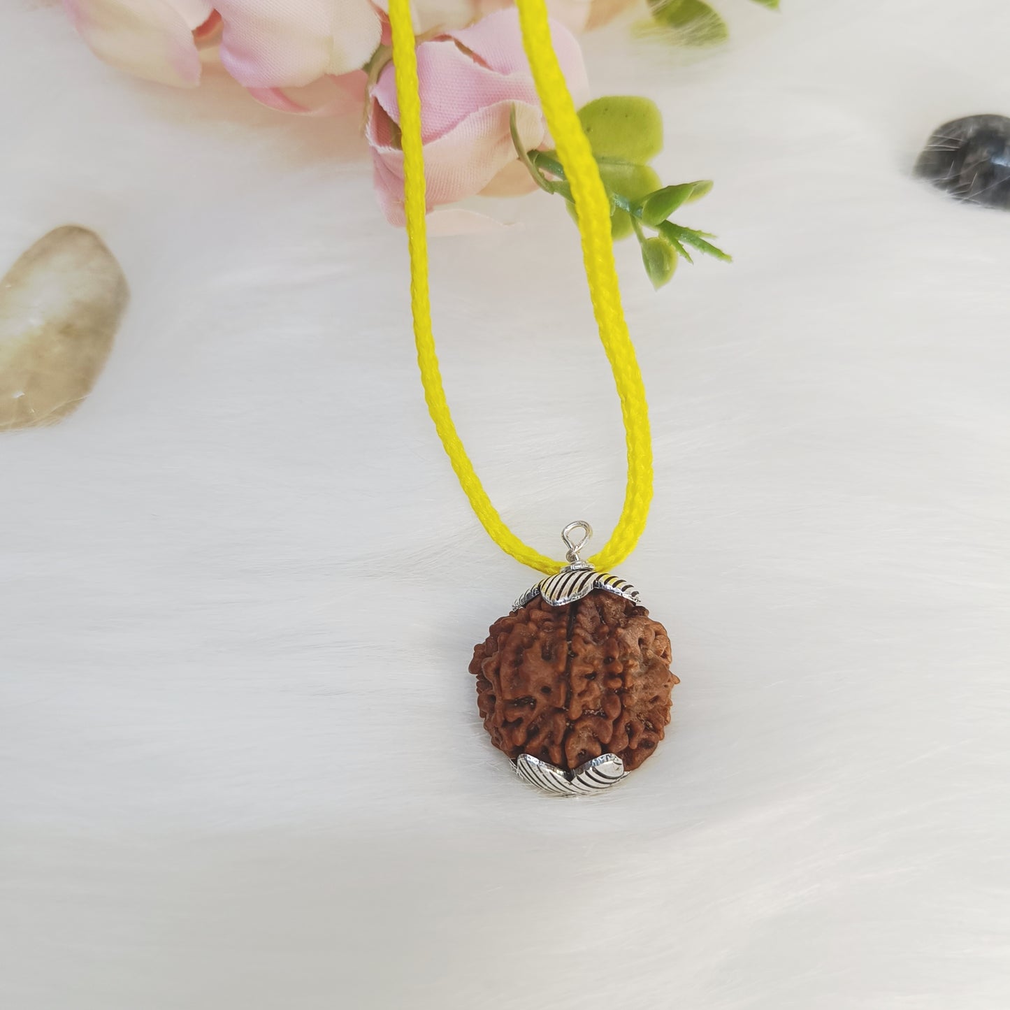 Authentic Nepali Rudraksha Collection – 5 Mukhi Rudraksh, 6 Mukhi Rudraksh, 7 Mukhi Rudraksh, 8 Mukhi Rudraksh, Gauri Shankar Rudraksh and Garbh Gauri Rudraksh