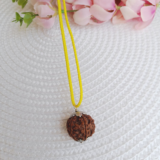 7 Mukhi Nepali Rudraksha