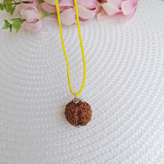 5 Mukhi Nepali Rudraksha – The Rudraksha of Peace, Wisdom & Protection