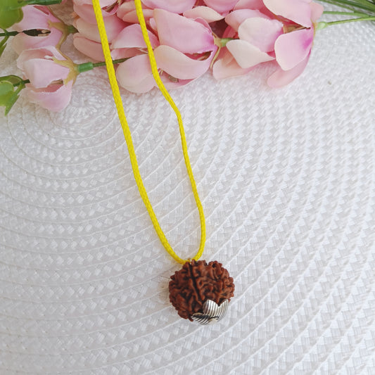 6 Mukhi Nepali Rudraksha