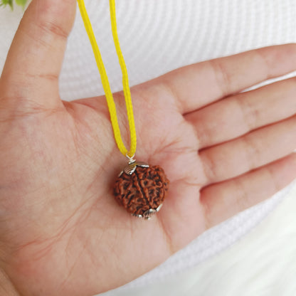 6 Mukhi Nepali Rudraksha