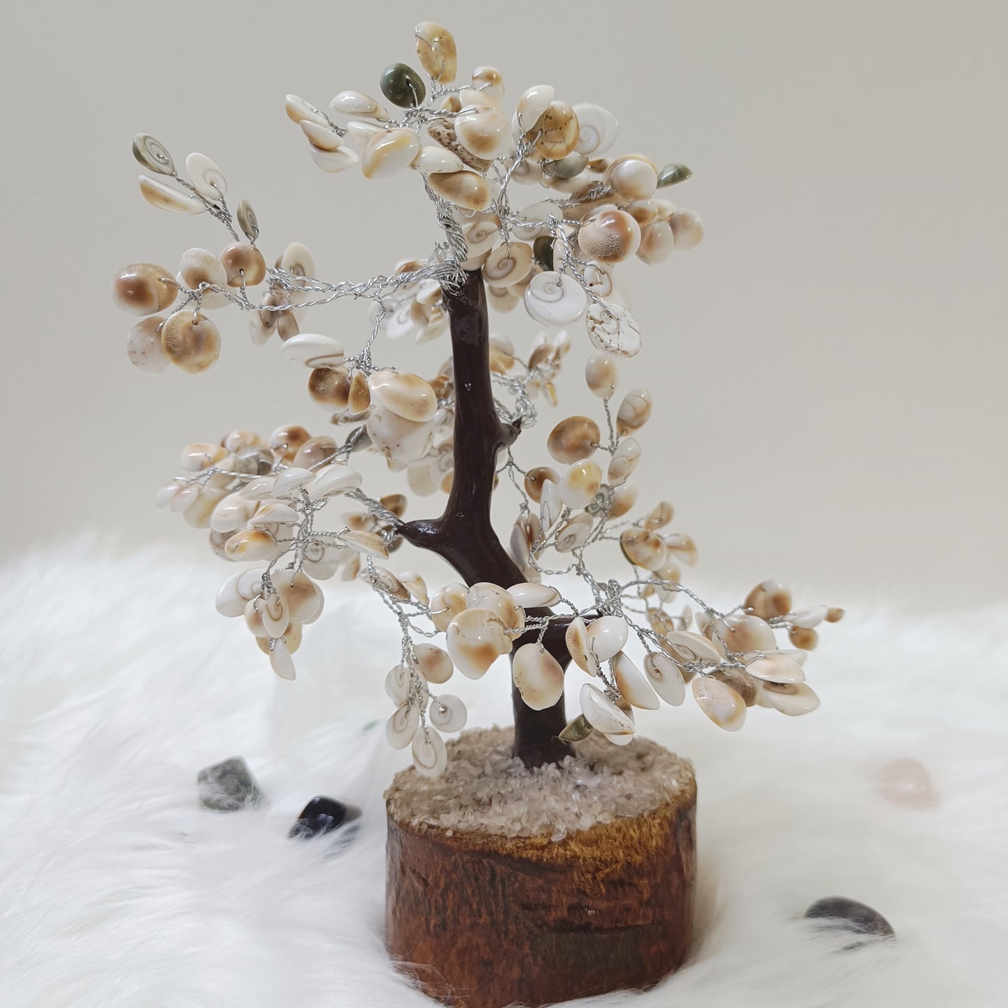 Gomti Chakra Tree –  Abundance, Harmony and Protection