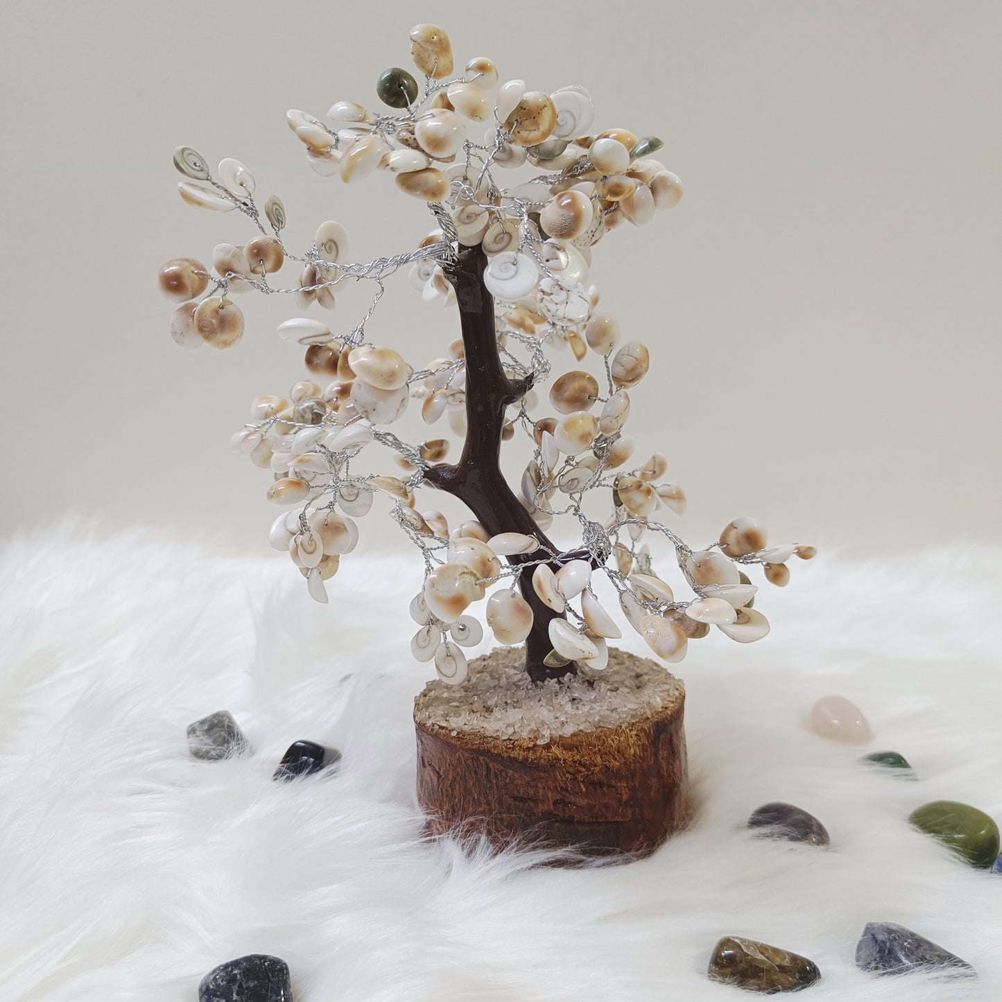 Gomti Chakra Tree –  Abundance, Harmony and Protection