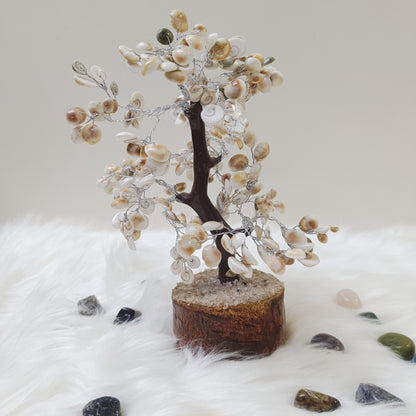 Gomti Chakra Tree –  Abundance, Harmony and Protection