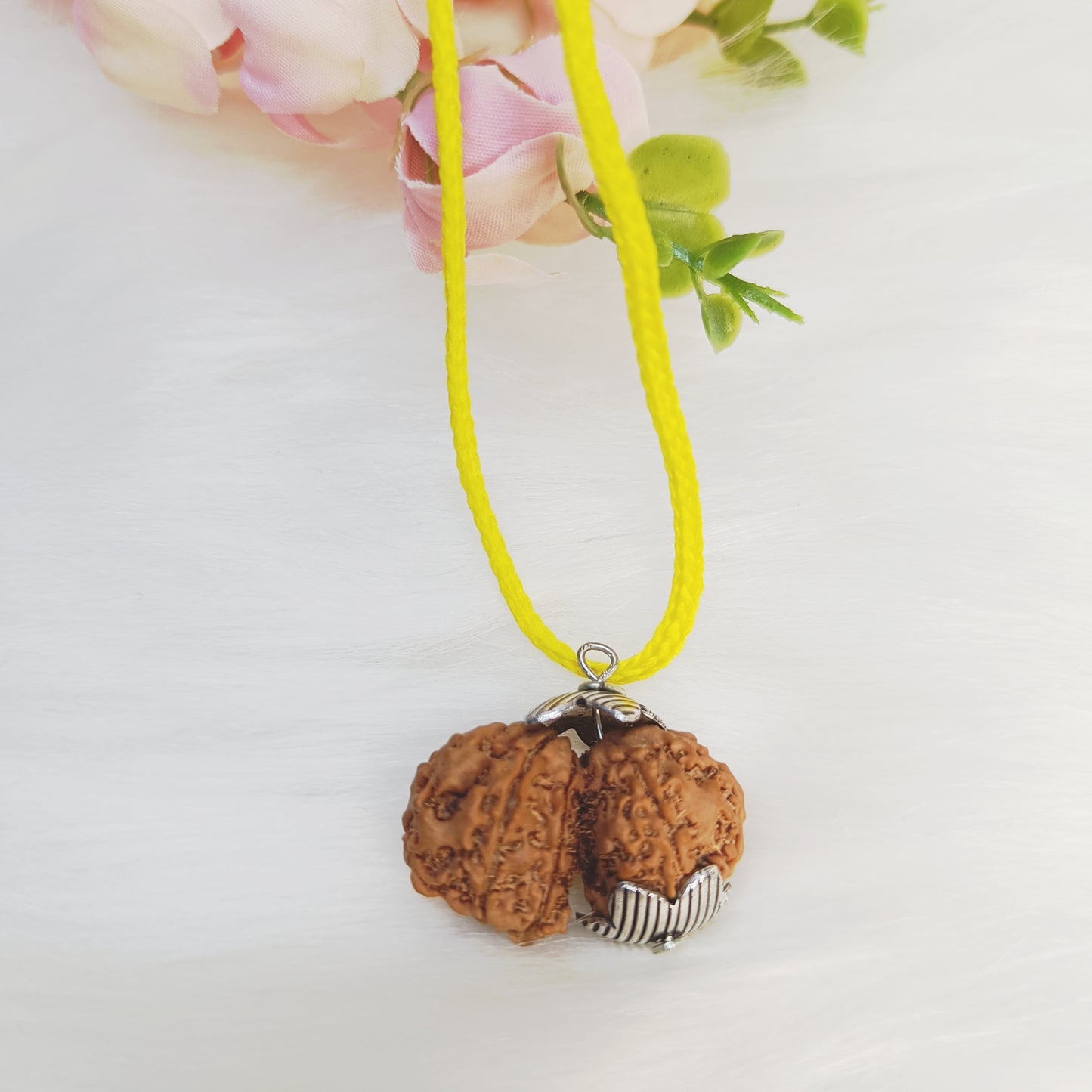 Authentic Nepali Rudraksha Collection – 5 Mukhi Rudraksh, 6 Mukhi Rudraksh, 7 Mukhi Rudraksh, 8 Mukhi Rudraksh, Gauri Shankar Rudraksh and Garbh Gauri Rudraksh